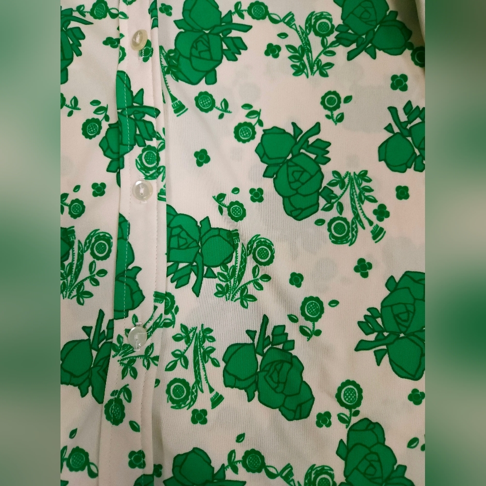 Alex Colman California Vintage 70s Point Collar Flowy Top Green Cream Small - Picture 9 of 16